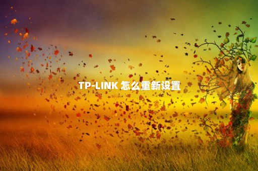TP-LINK 怎么重新设置