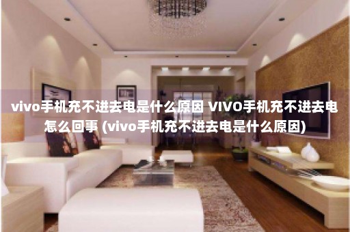 vivo手机充不进去电是什么原因 VIVO手机充不进去电怎么回事 (vivo手机充不进去电是什么原因)