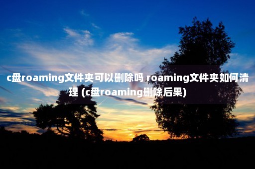 c盘roaming文件夹可以删除吗 roaming文件夹如何清理 (c盘roaming删除后果)