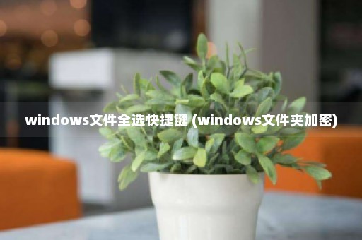 windows文件全选快捷键 (windows文件夹加密)
