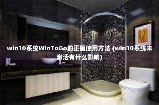 win10系统WinToGo的正确使用方法 (win10系统未激活有什么影响)
