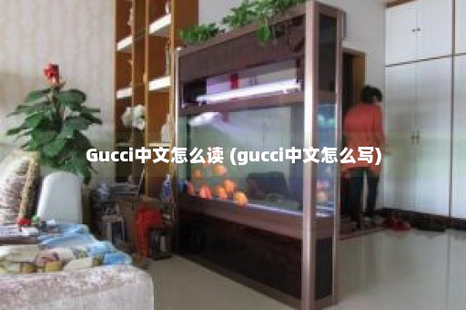Gucci中文怎么读 (gucci中文怎么写)