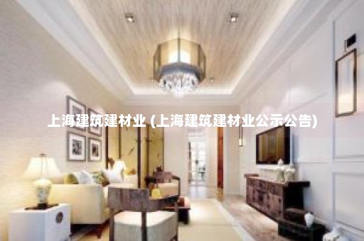 上海建筑建材业 (上海建筑建材业公示公告)