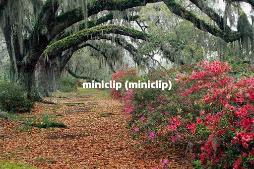 miniclip (miniclip)