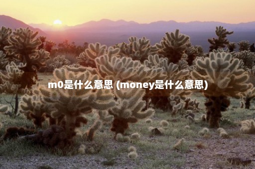 m0是什么意思 (money是什么意思)