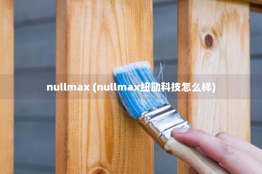 nullmax (nullmax纽劢科技怎么样)