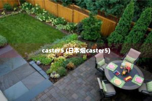 caster5 (日本烟caster5)