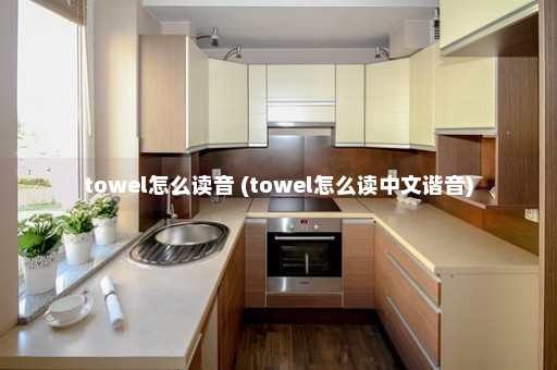 towel怎么读音 (towel怎么读中文谐音)