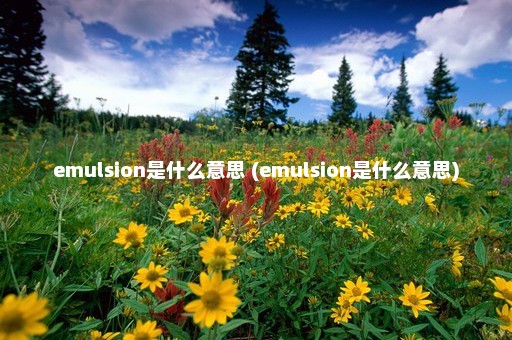 emulsion是什么意思 (emulsion是什么意思)