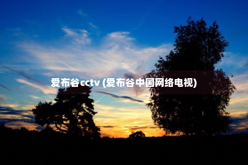 爱布谷cctv (爱布谷中国网络电视)