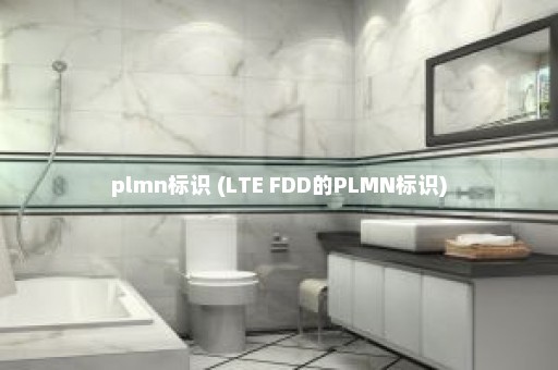 plmn标识 (LTE FDD的PLMN标识)
