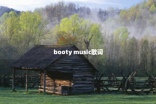 booty music歌词