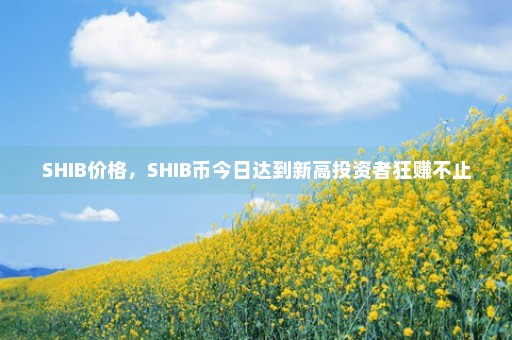 SHIB价格，SHIB币今日达到新高投资者狂赚不止