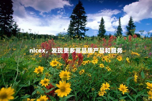 nicex，发现更多高品质产品和服务