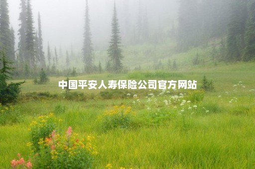 中国平安人寿保险公司官方网站