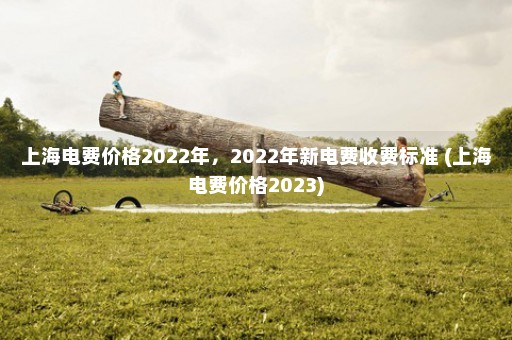 上海电费价格2022年，2022年新电费收费标准 (上海电费价格2023)