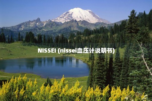 NISSEI (nissei血压计说明书)