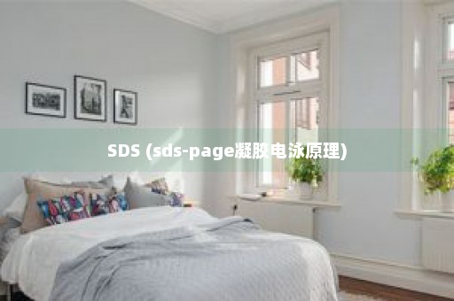 SDS (sds-page凝胶电泳原理)