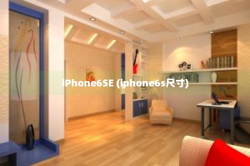 iPhone6SE (iphone6s尺寸)